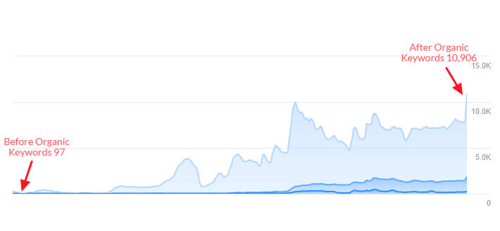 Organic Keywords Traffic Graph