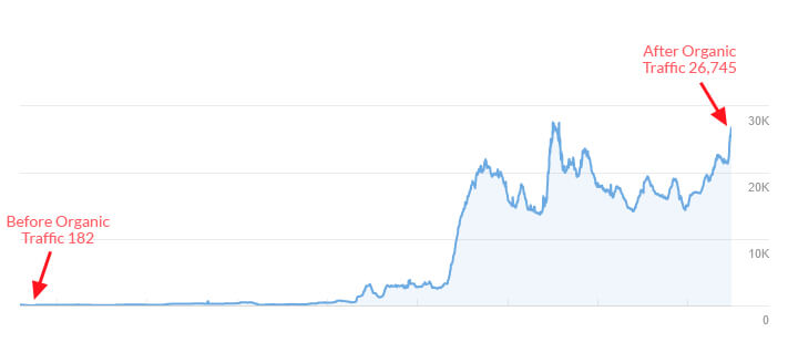 Organic Traffic Trend